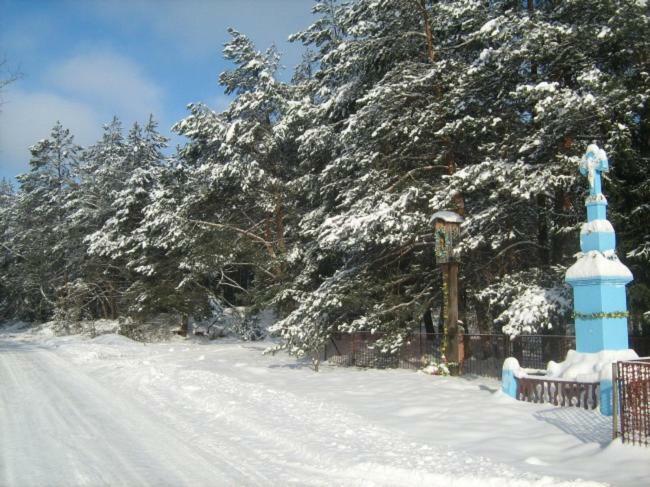 Wypoczynek U Piotra Villa Susiec Exterior photo